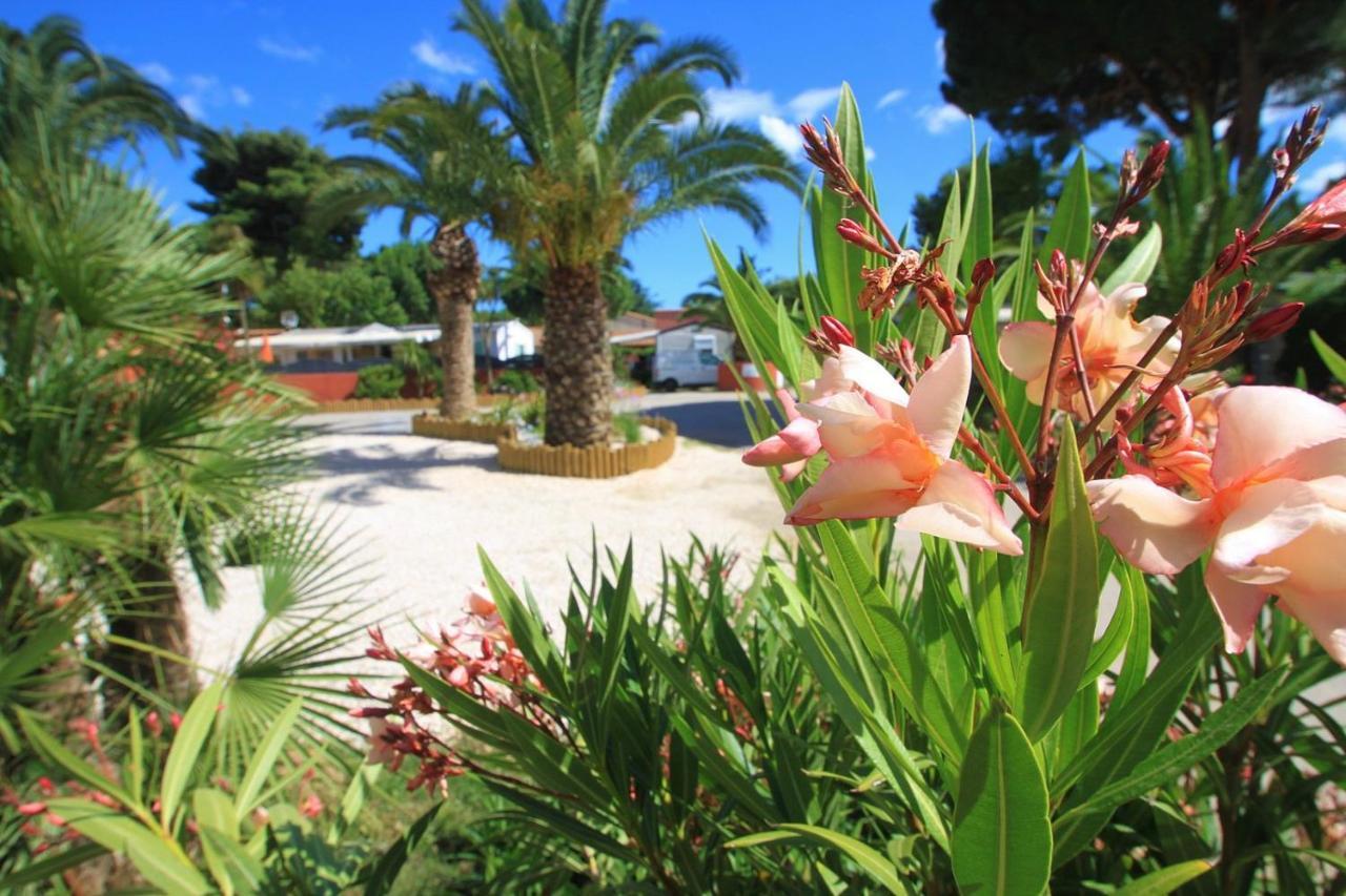 Camping Del Mar 10, Mobil Home Petit Paradis, 6 Personnes, Bord De Mer, Camping Del Mar Village アルジェレス・シュル・メール エクステリア 写真