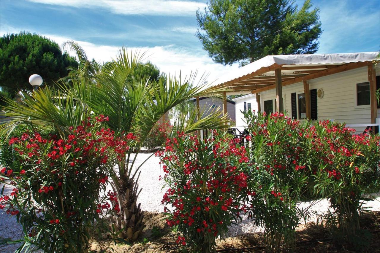 Camping Del Mar 10, Mobil Home Petit Paradis, 6 Personnes, Bord De Mer, Camping Del Mar Village アルジェレス・シュル・メール エクステリア 写真